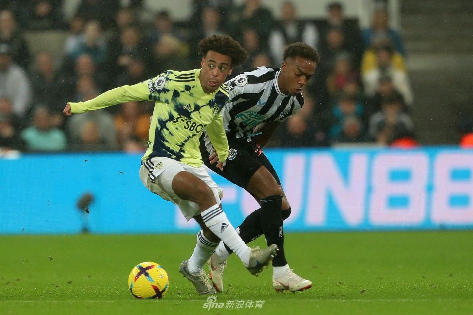 色的技术和 色的技术和